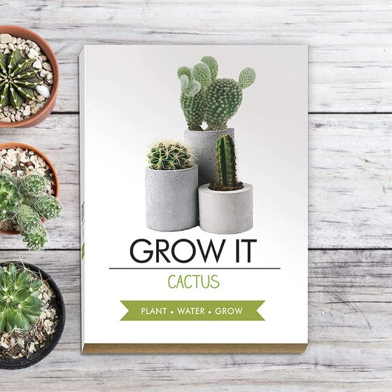 Grow it  - кактус